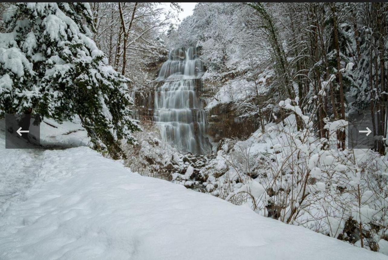 La Jurassienne Villa Champagnole Bagian luar foto
